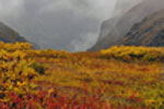 Alaska